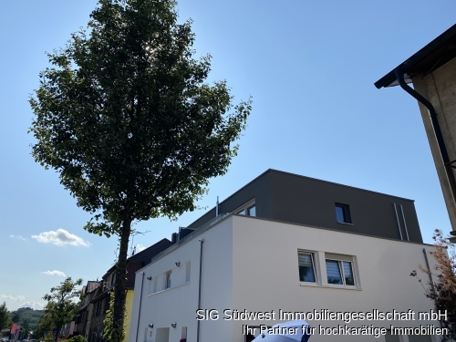 Haus Seitenansicht