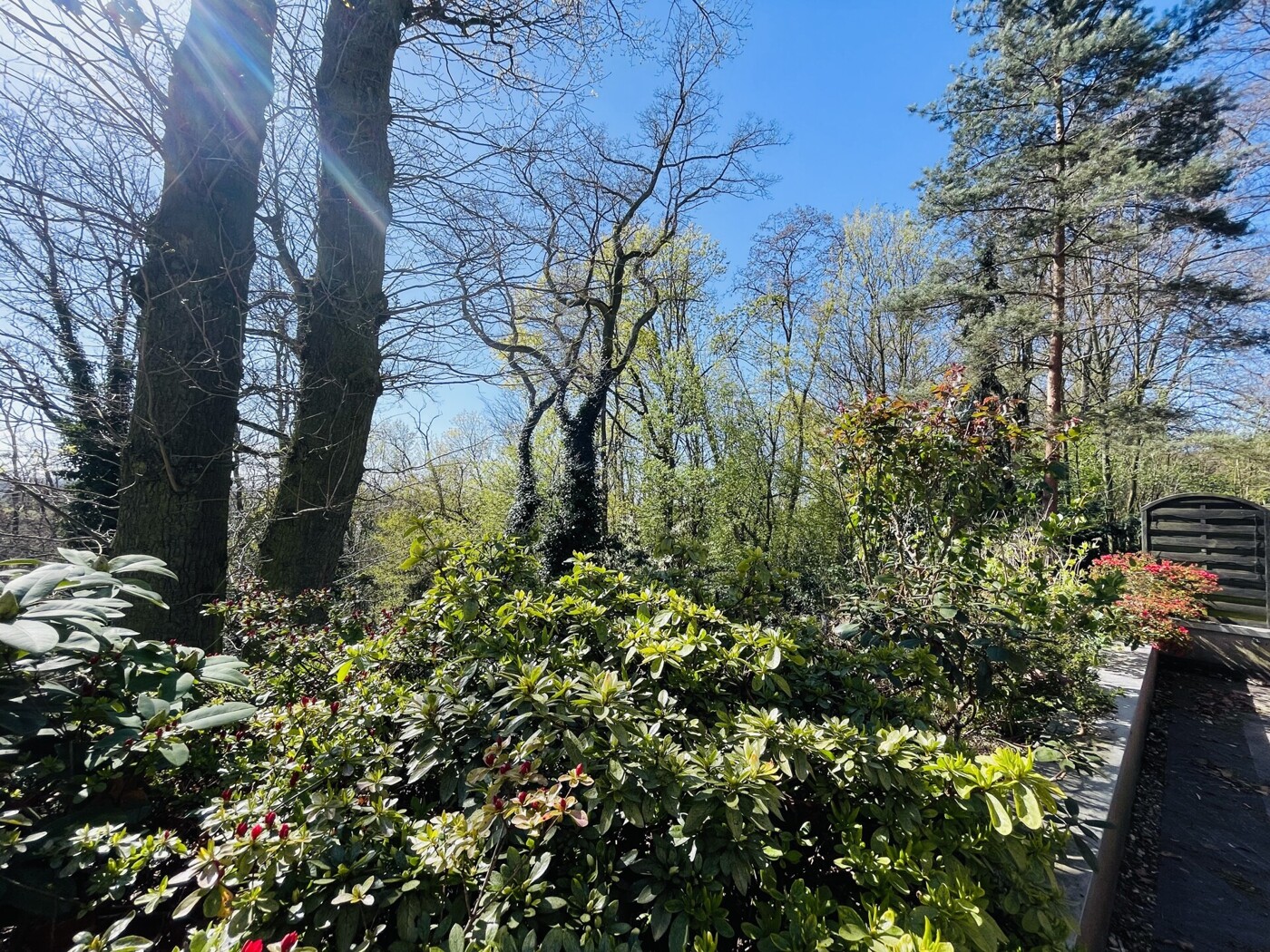 Terrasse Frühjahr