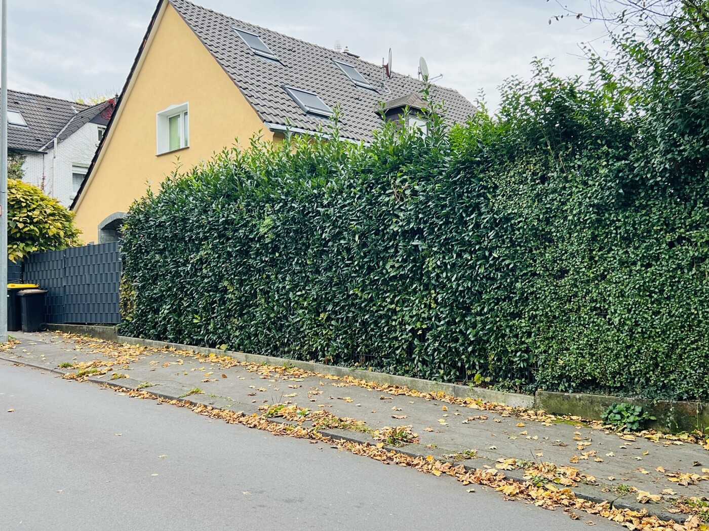 Strassenansicht_Hecke