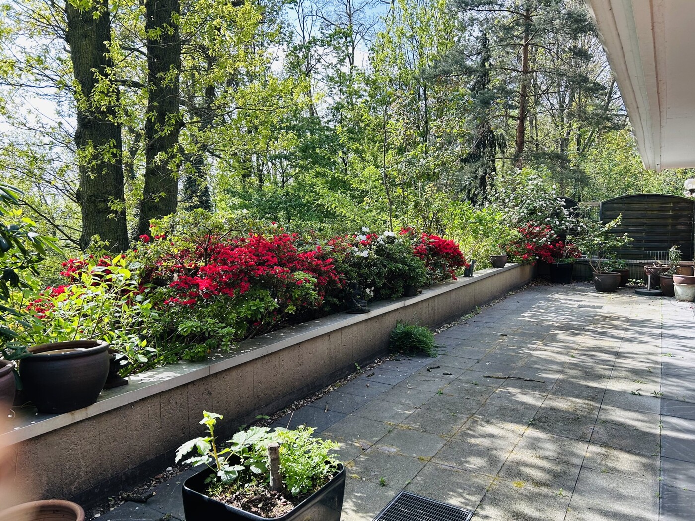 Terrasse Ausblick