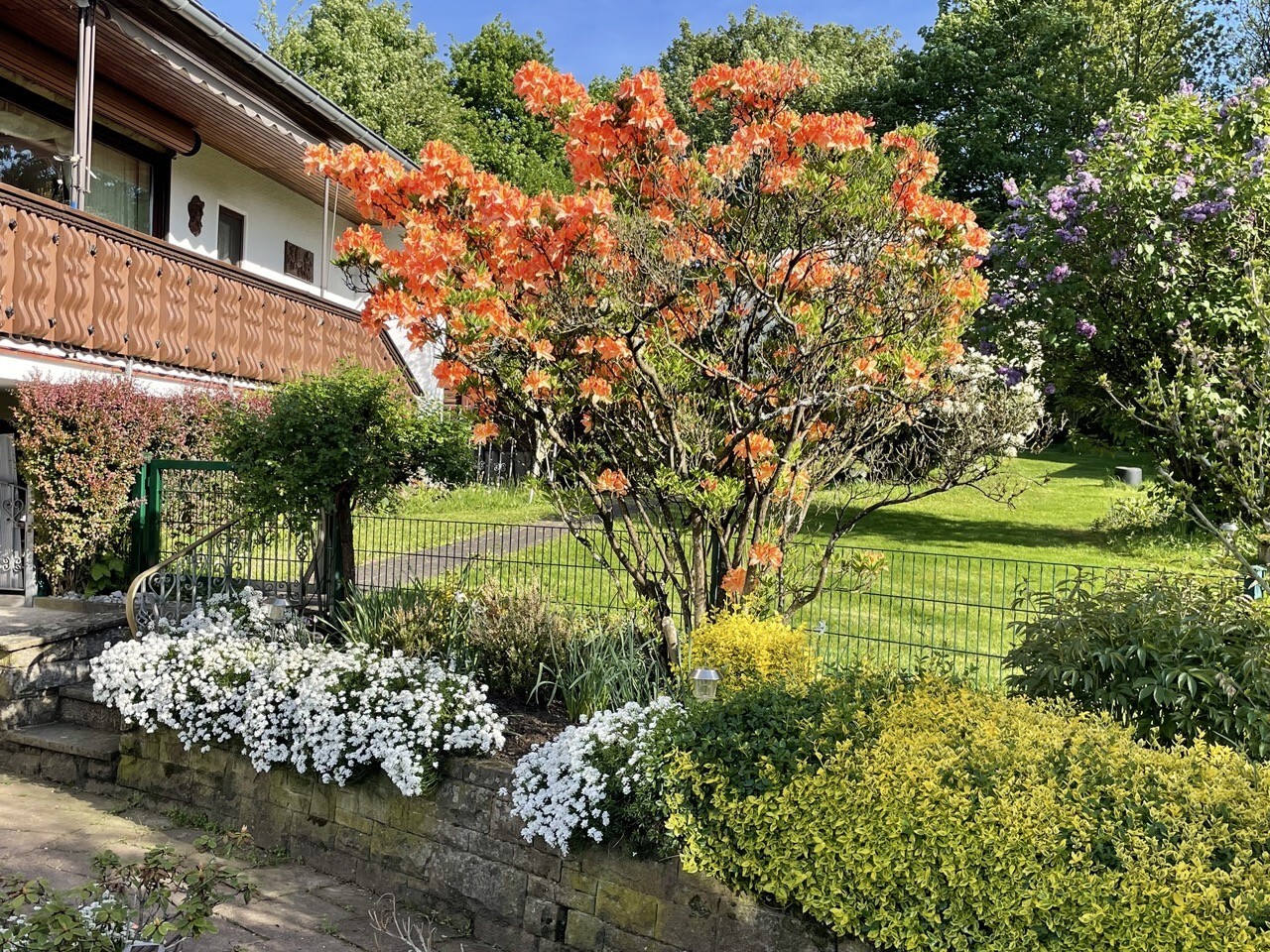 Vorderansicht
