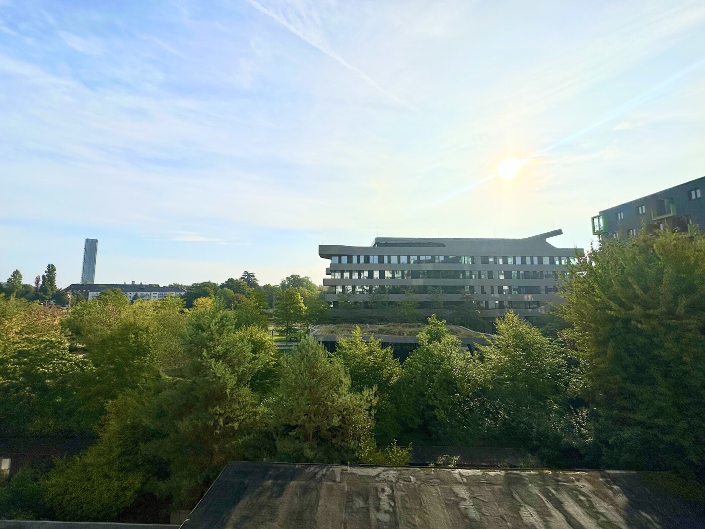 Aussicht vom Balkon