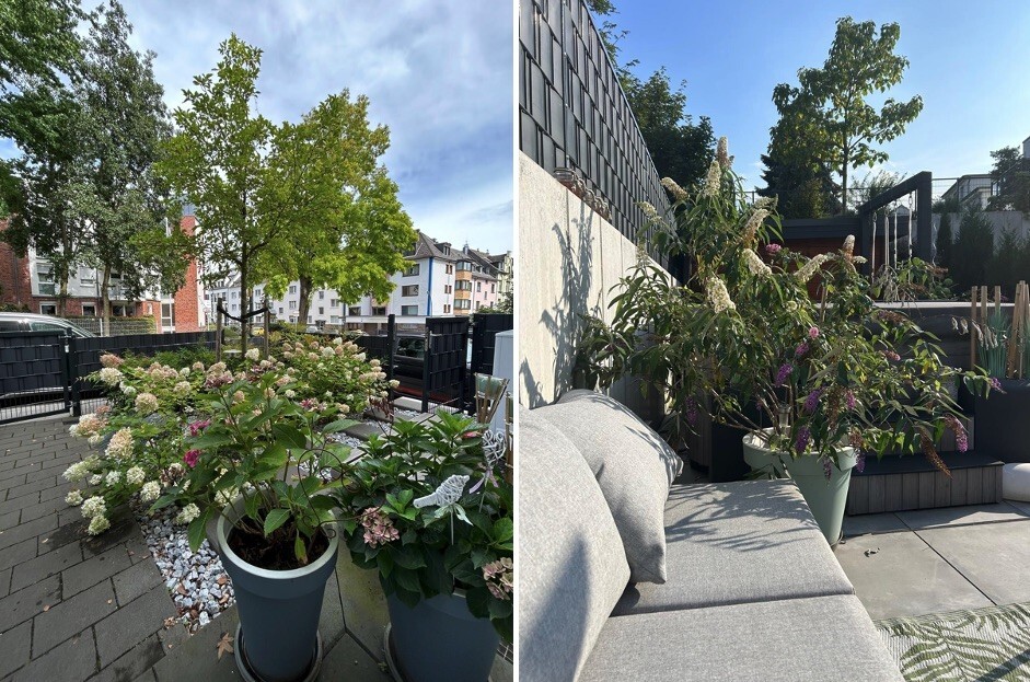 Vorgarten u. Garten