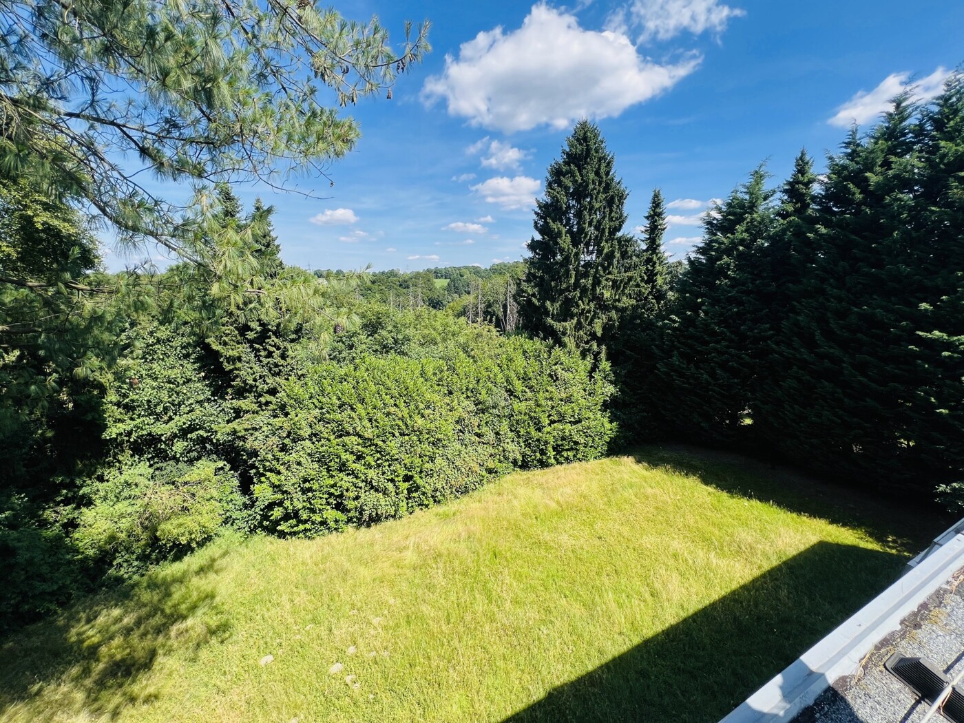 Blick in den Garten
