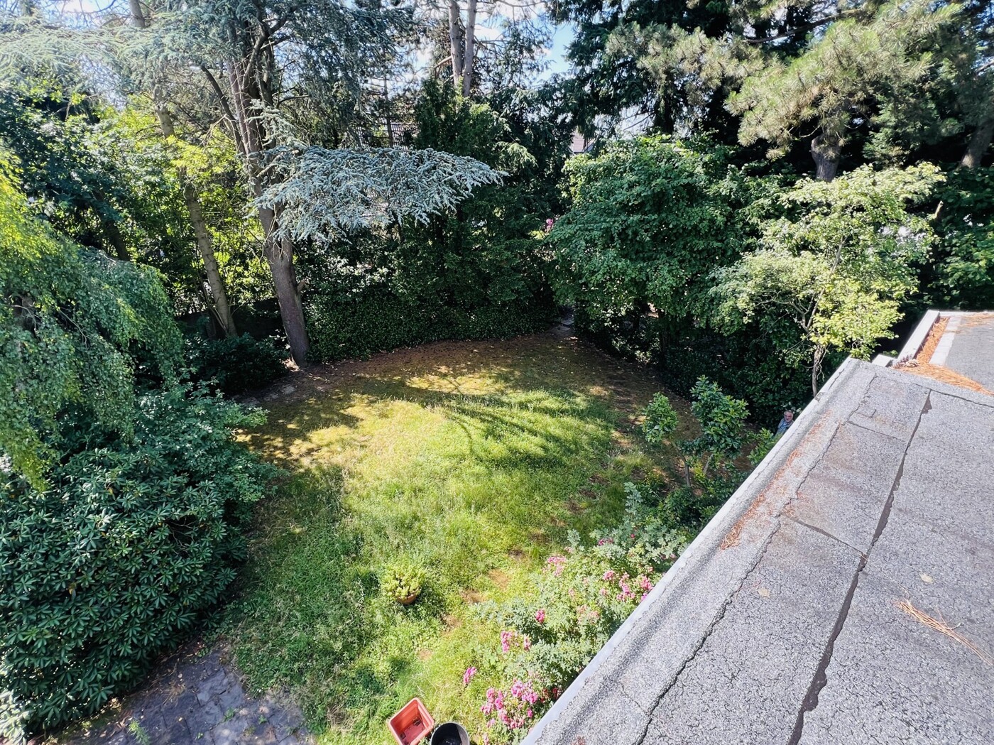 Blick in den Garten