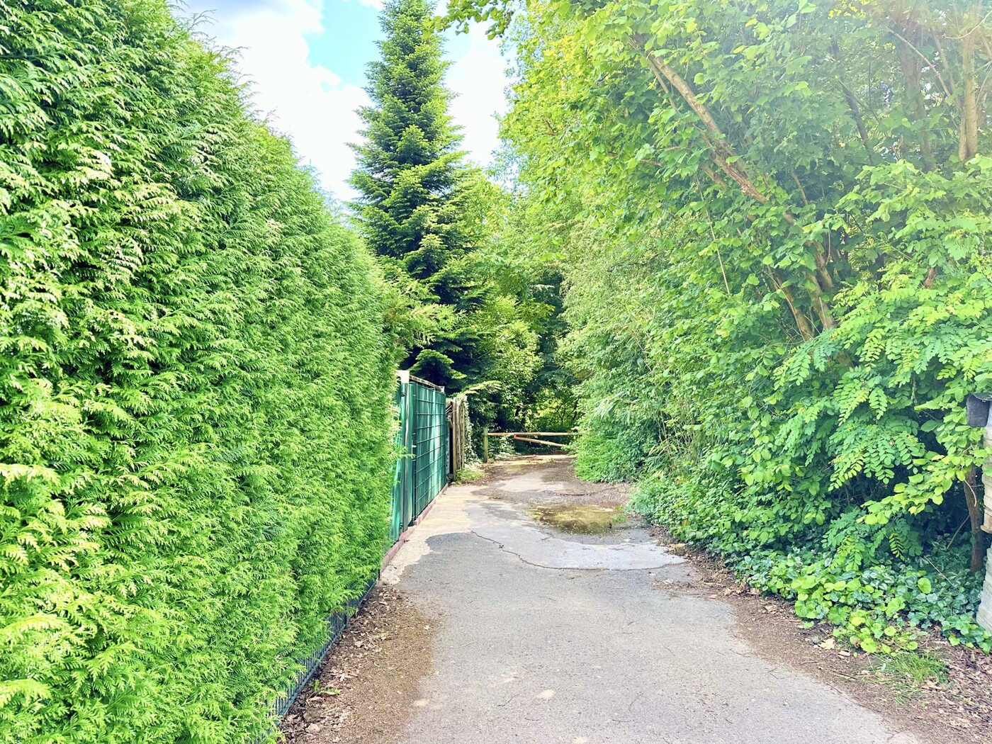 Garten-Hinterausgang