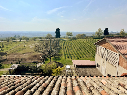 Landgut mit Weinbergen, Olivenhainen und Villa in Panoramalage in Sona - Gardasee