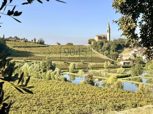 Kleines Weingut in den sanften Hügellandschaften der Colli Berici in Sarego