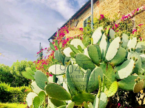 Rustico in der Natur bei Campiglio Marittima - Toskana
