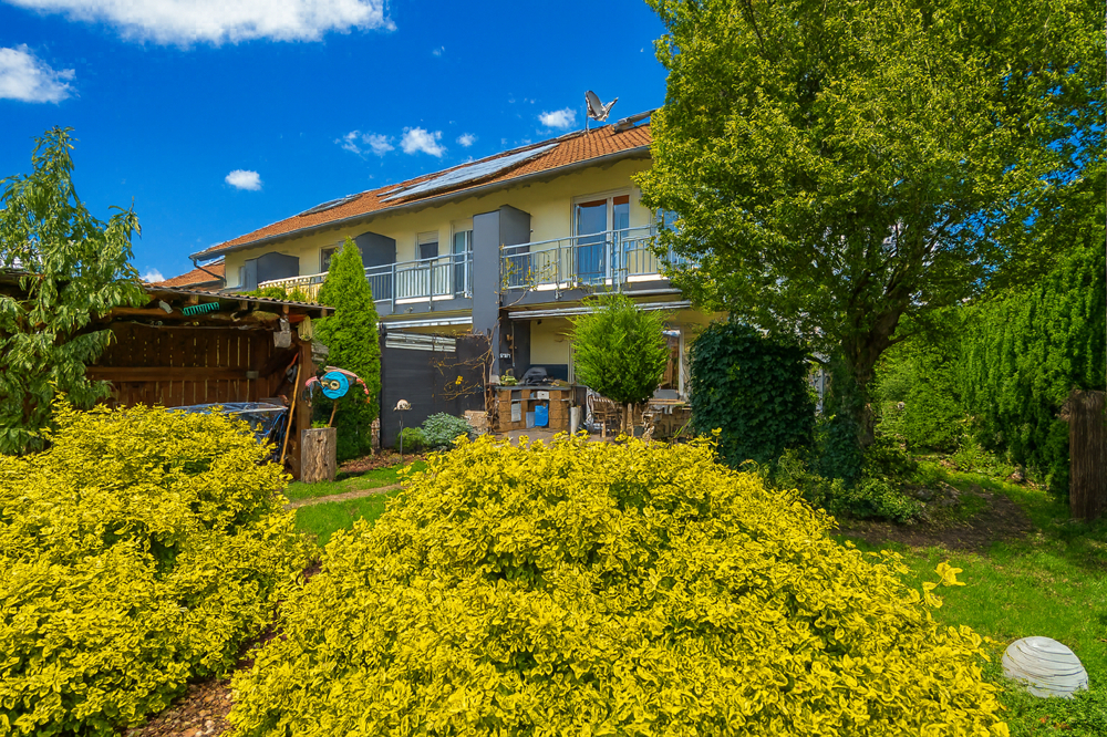 Garten Blick Haus Bild 2