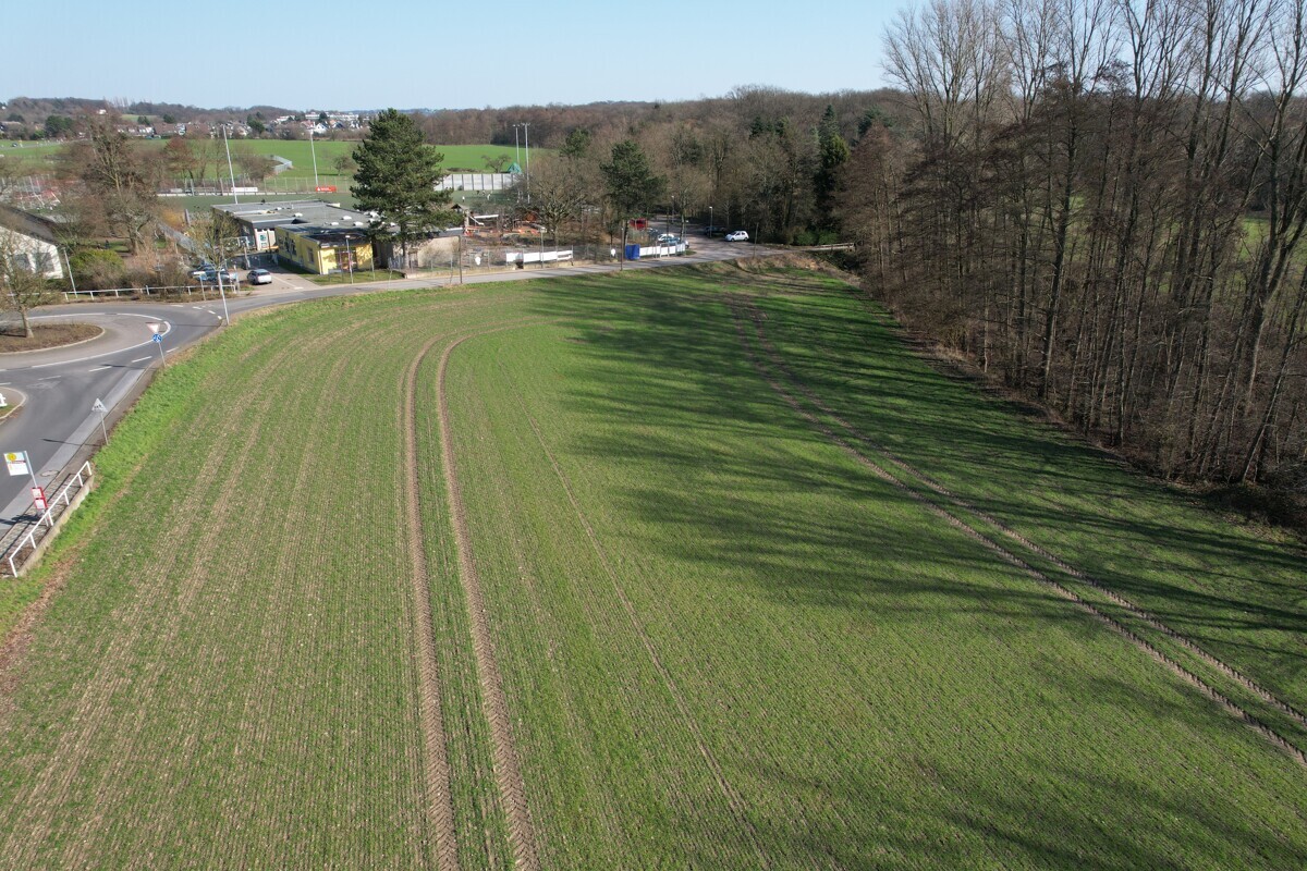 Landwirtschaftsfläche
