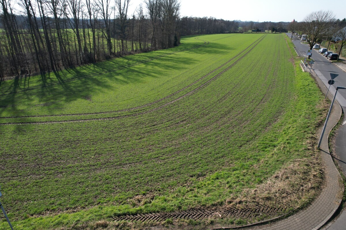 Landwirtschaftsfläche