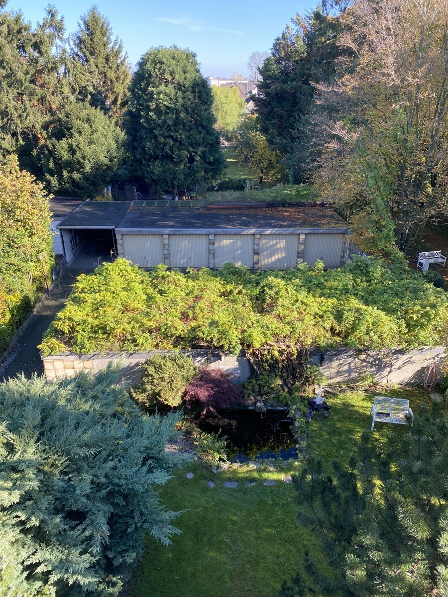 Blick von oben Richtung Garten + Garagen