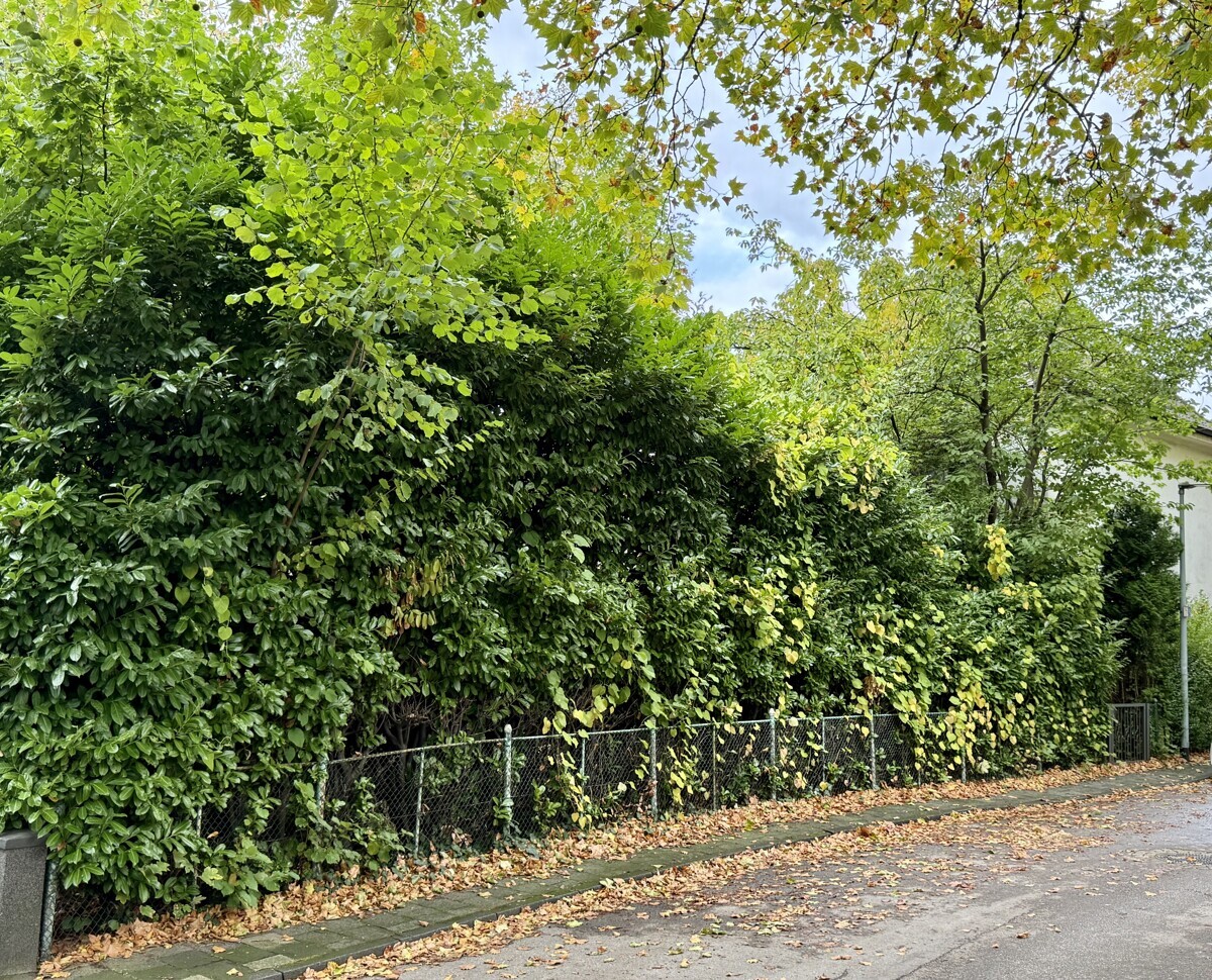 Straßenansicht
