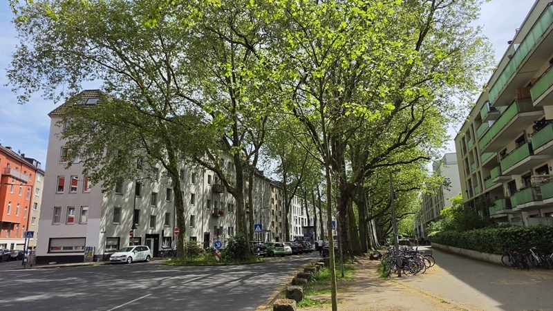 Frontansicht