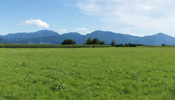 Symbolbild/Landwirtschaftliches Grundstück