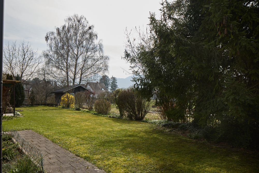 Grosser Garten