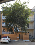 Dr.-Friedrichs-Ring 53, Rückfassade 2