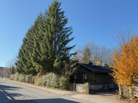 Baugrund im Mischgebiet mit Altbestand (0)