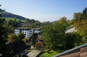 Blick nach Basel und F