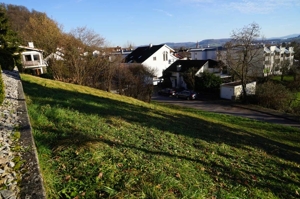 Grundstücksgrenze ganz oben Blick n. Osten