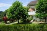 Gartenbereich