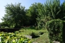 Blick vom Haus auf das Gartengrundstück