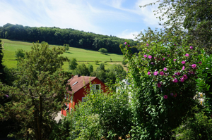 Ausblick
