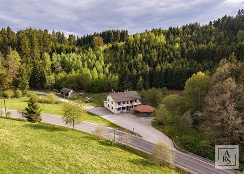 Waldschenke_DJI_1 (1)