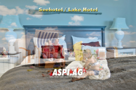 ASP_Lake_Hotel_for_sale