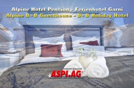 Hotel Pension Saalbach