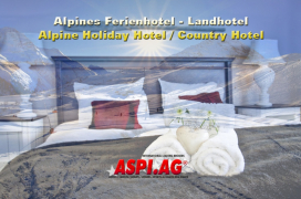 ASP_Alpine_Country_Hotel_for_sale