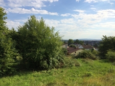 Fernblick