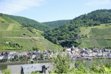 Mosel