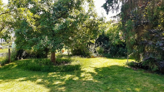 IMG_20230613_154200922-01