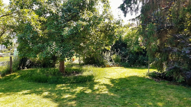 IMG_20230613_154200922-01