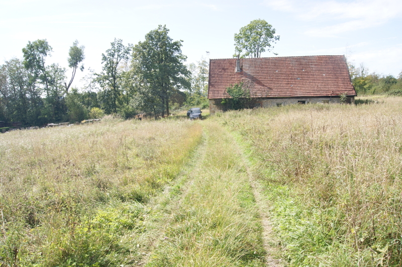 DSC02323