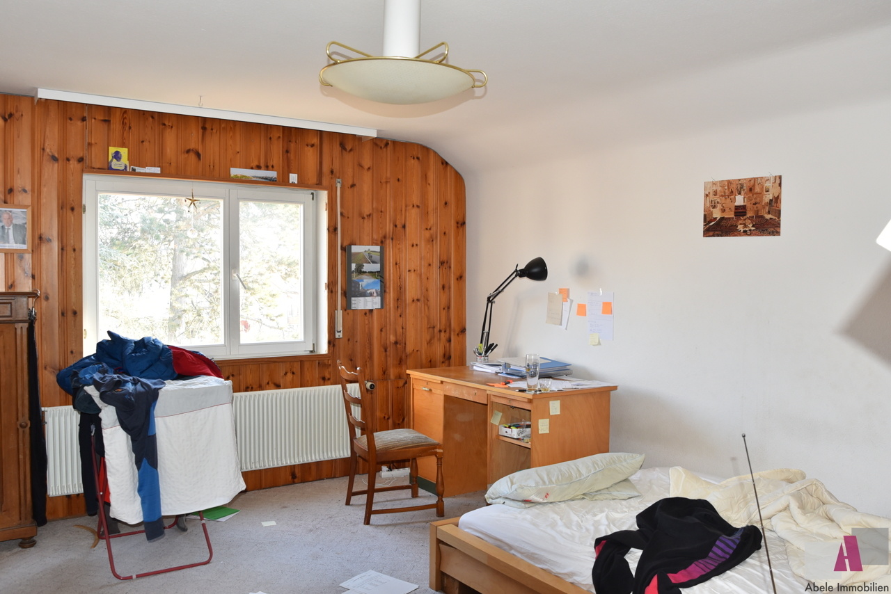 Zimmer DG