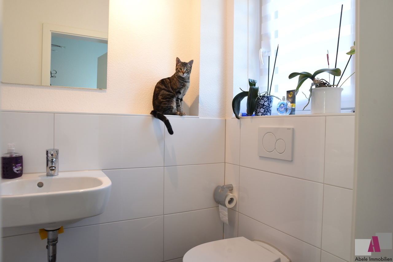 Gäste-WC