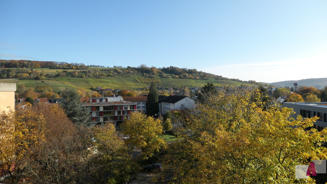 Blick Richtung Tüllinger Berg