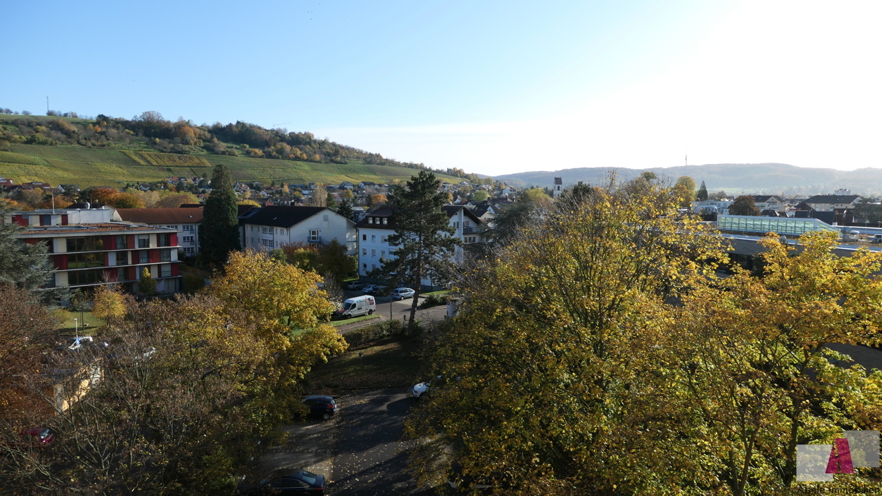 Panoramablick