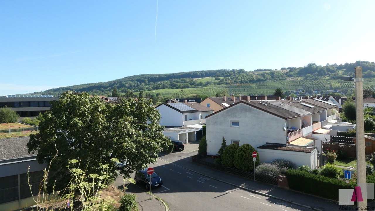 Blick in die Weinberge
