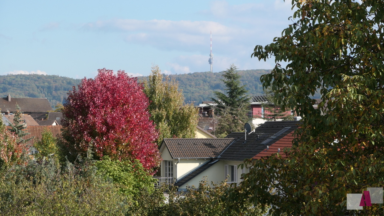 Ausblick