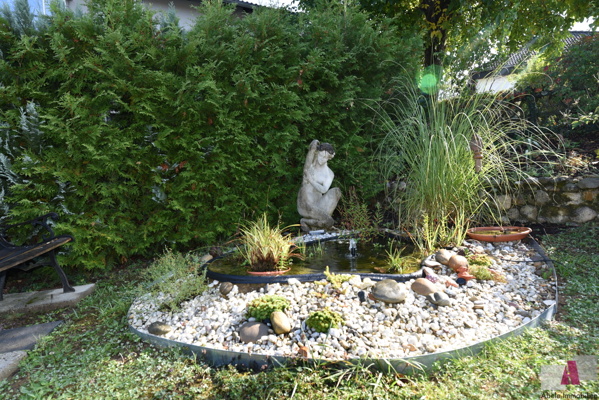 Garten mit Teich
