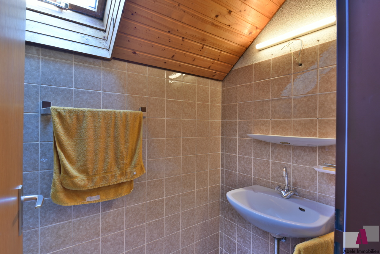WC DG