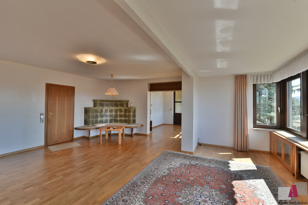 großzügiges Wohnzimmer