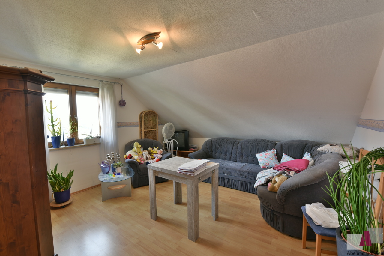 Zimmer3 DG