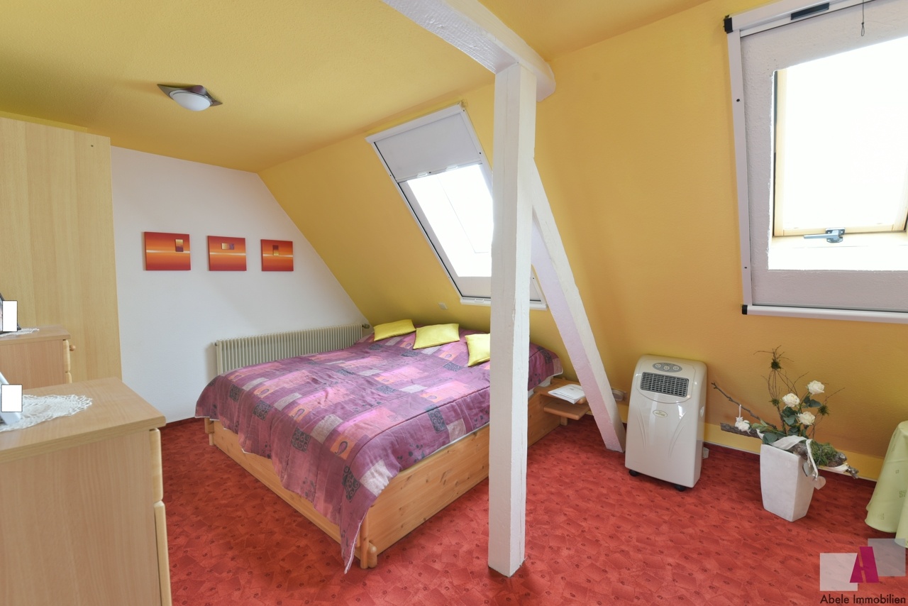 Zimmer1 DG