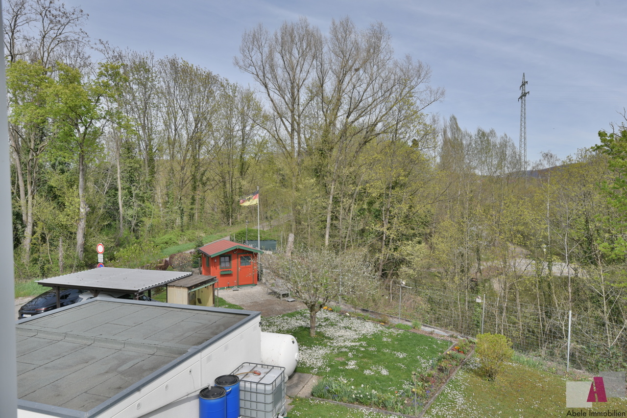Blick in den Garten