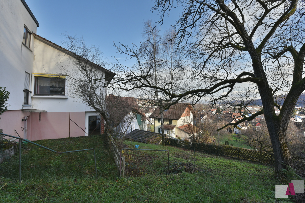 Garten mit Blick zum Haus